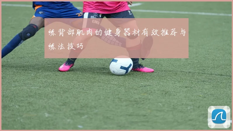 练背部肌肉的健身器材有效推荐与练法技巧